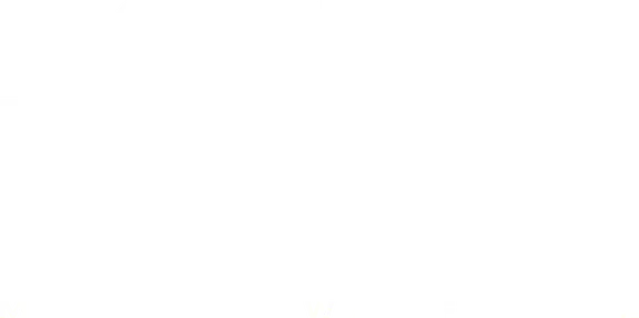MW II Cheat logo